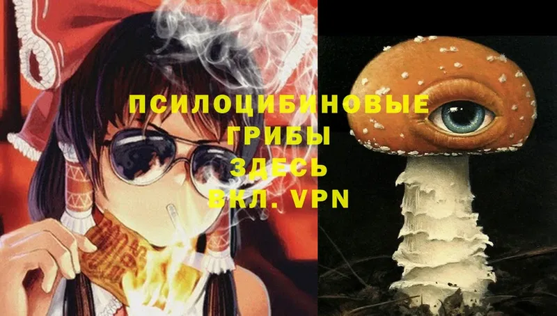 Галлюциногенные грибы Psilocybe  Воскресенск 